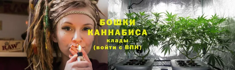 Бошки Шишки ГИДРОПОН  купить наркотик  Дзержинский 